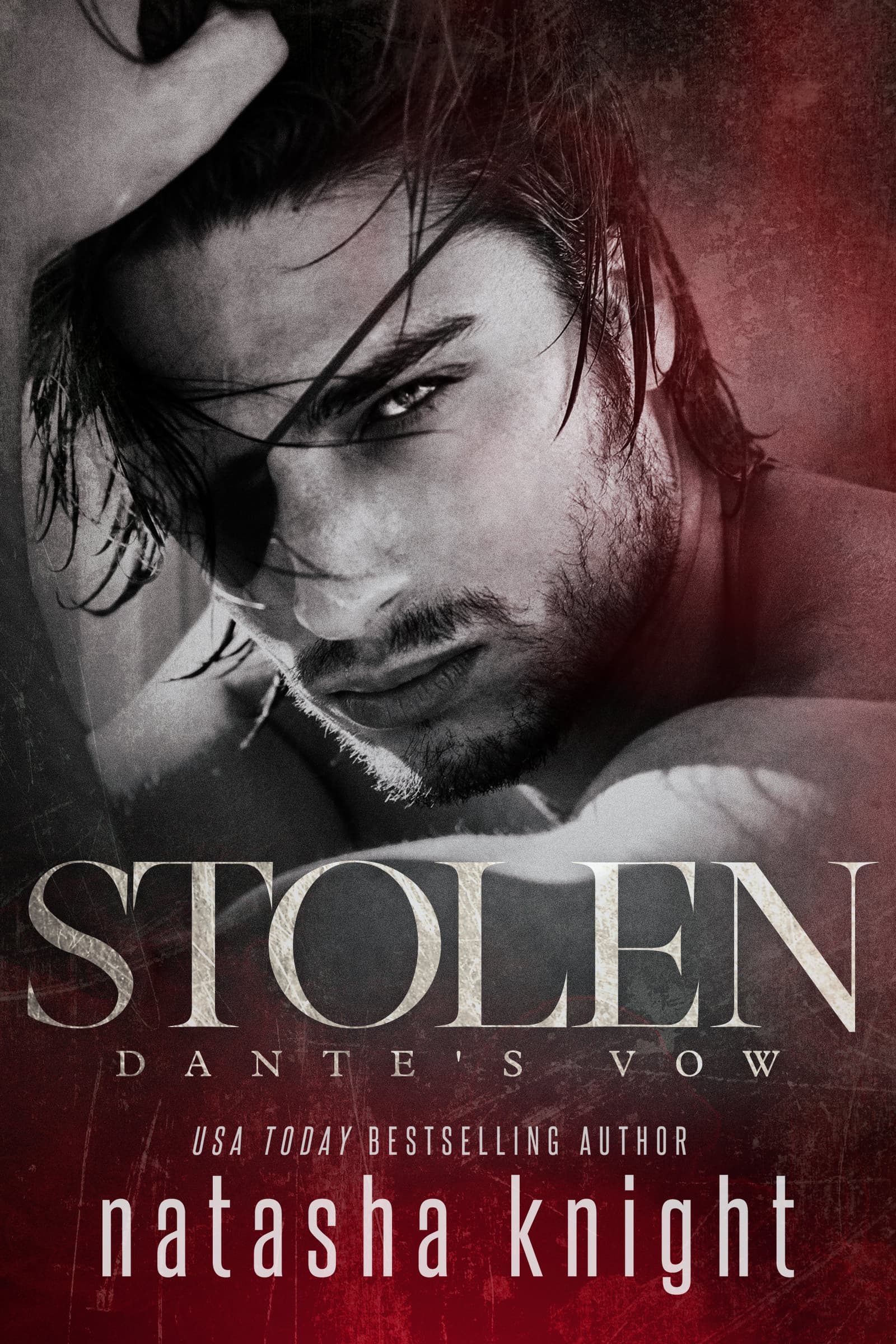 Stolen: Dante's Vow book cover