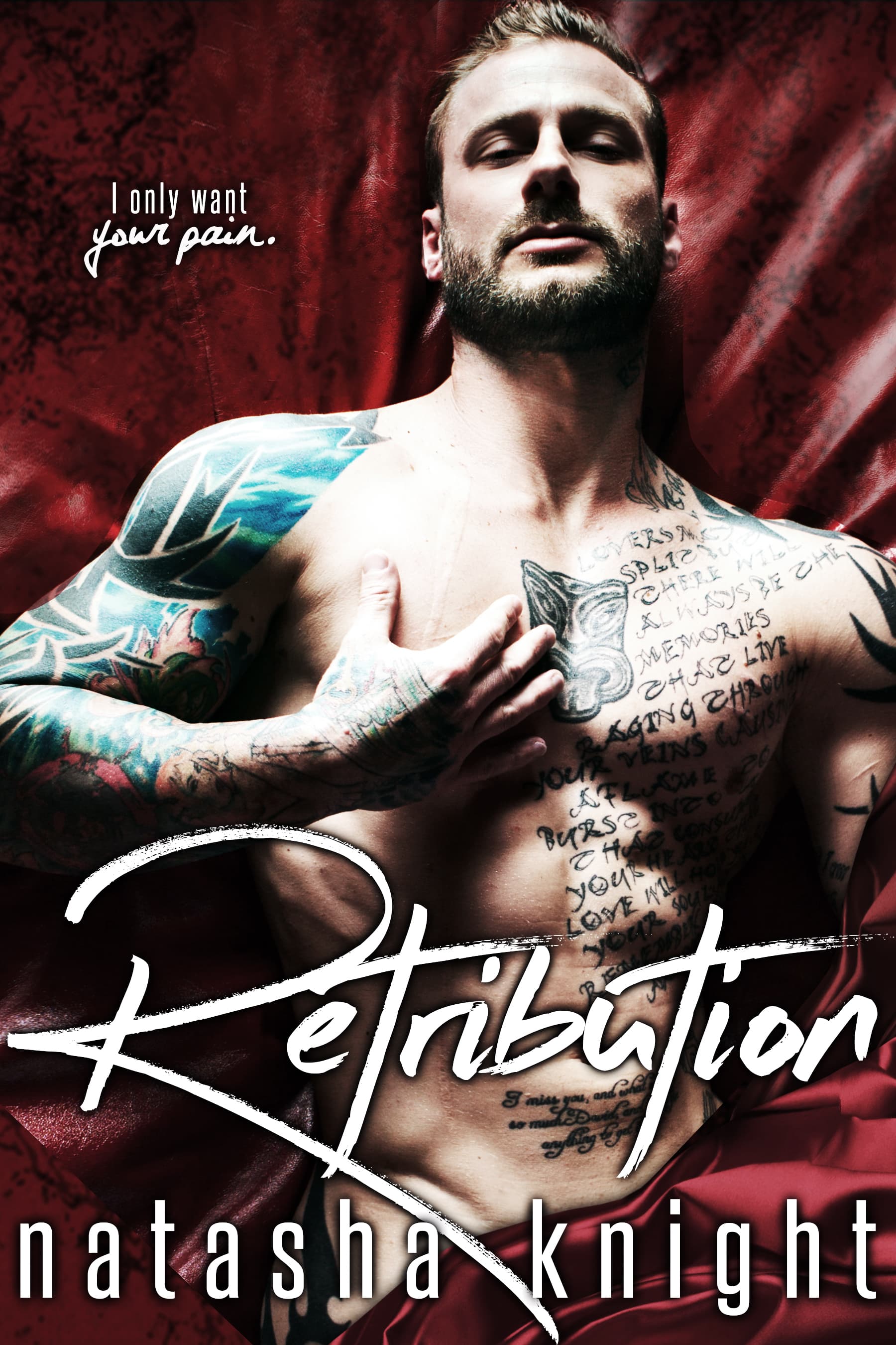 Retribution book cover