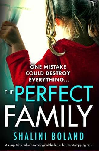 The Perfect Family book cover