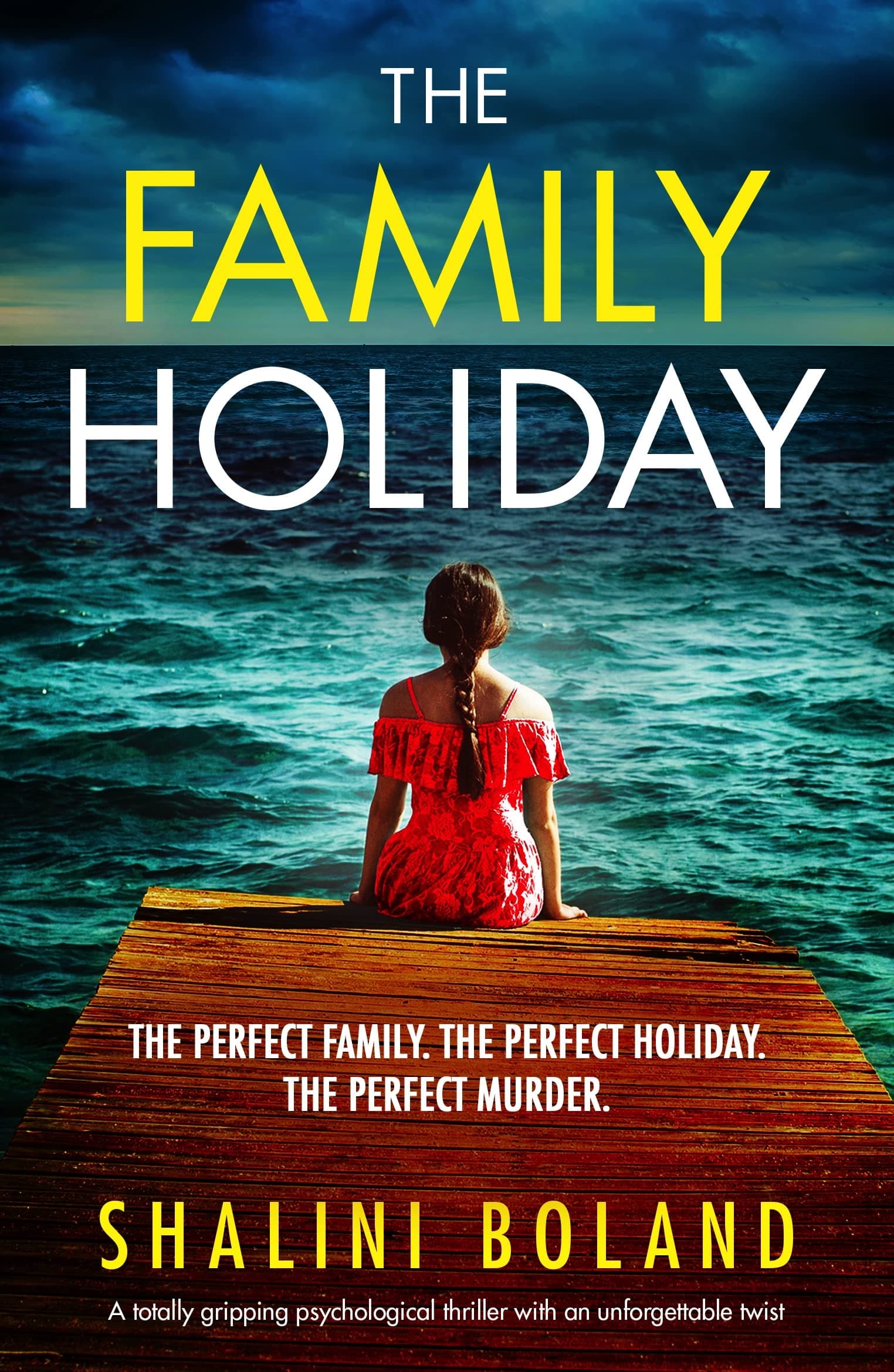 The Family Holiday book cover