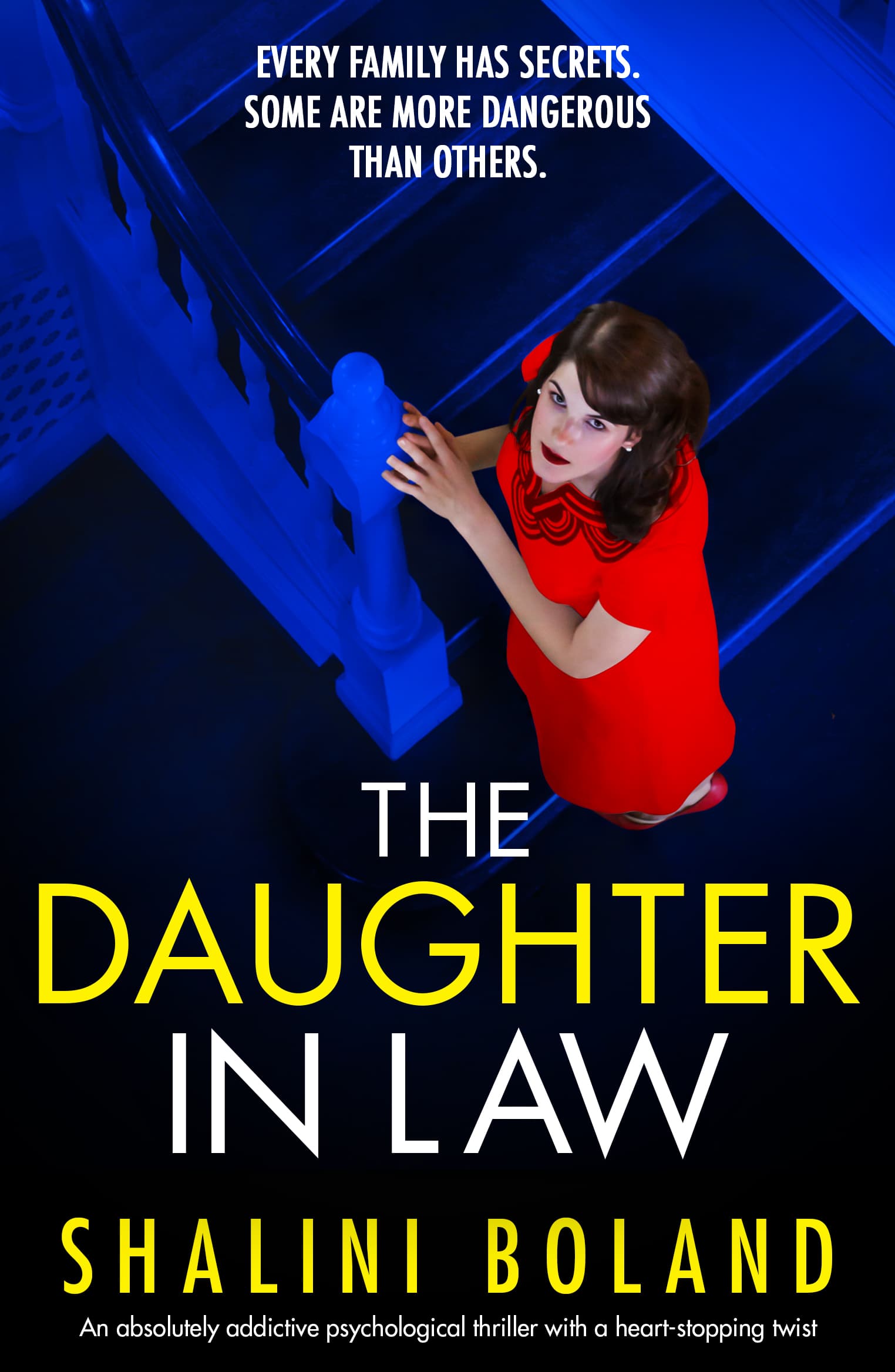 The Daughter-in-Law book cover