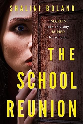 The School Reunion book cover