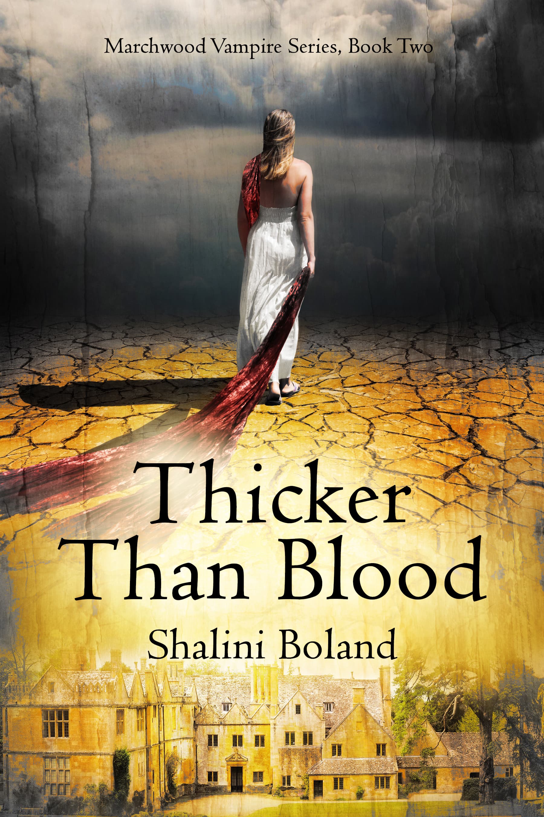 Thicker Than Blood book cover