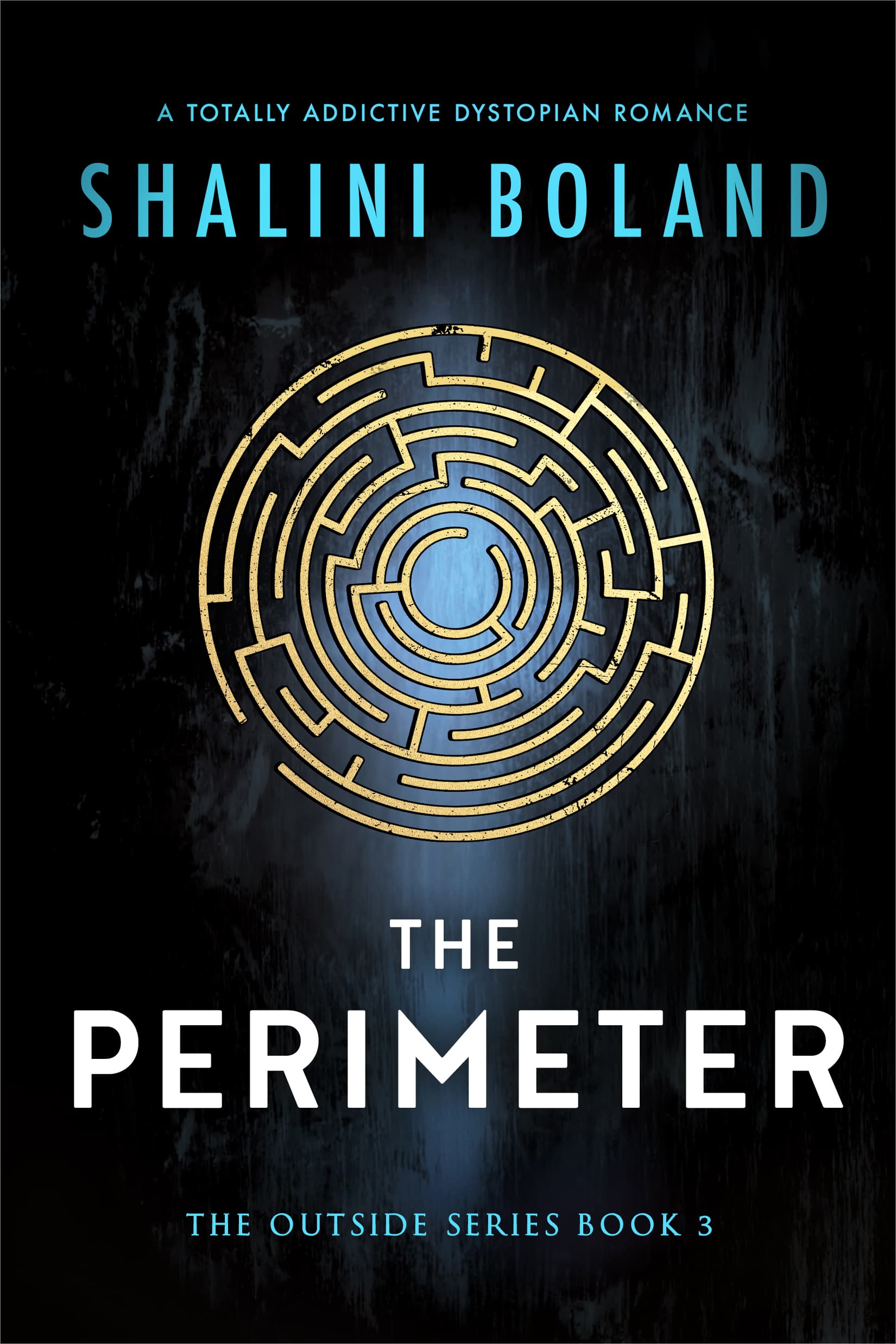 The Perimeter book cover