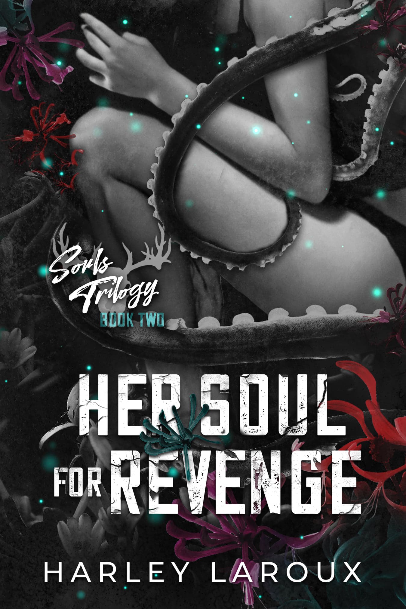 Her Soul for Revenge book cover