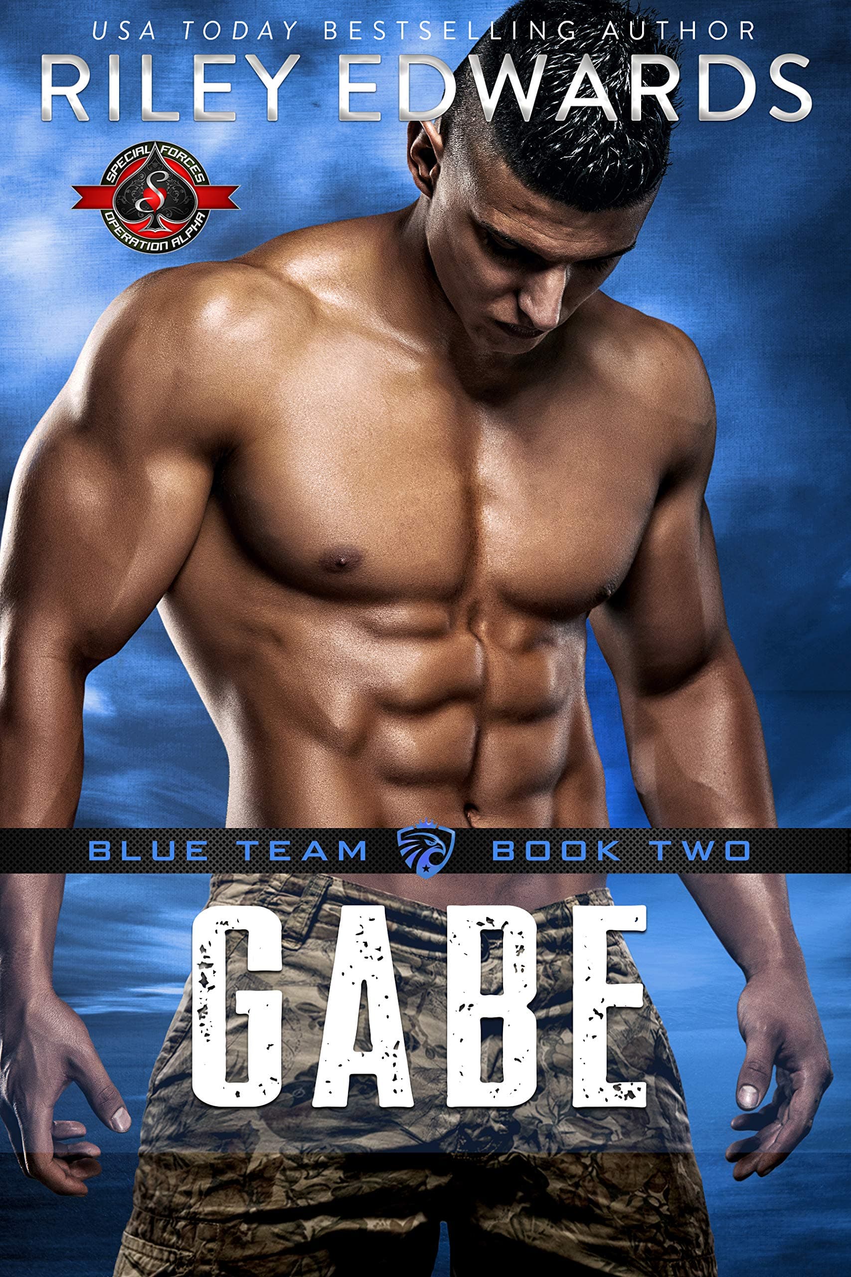 Gabe book cover