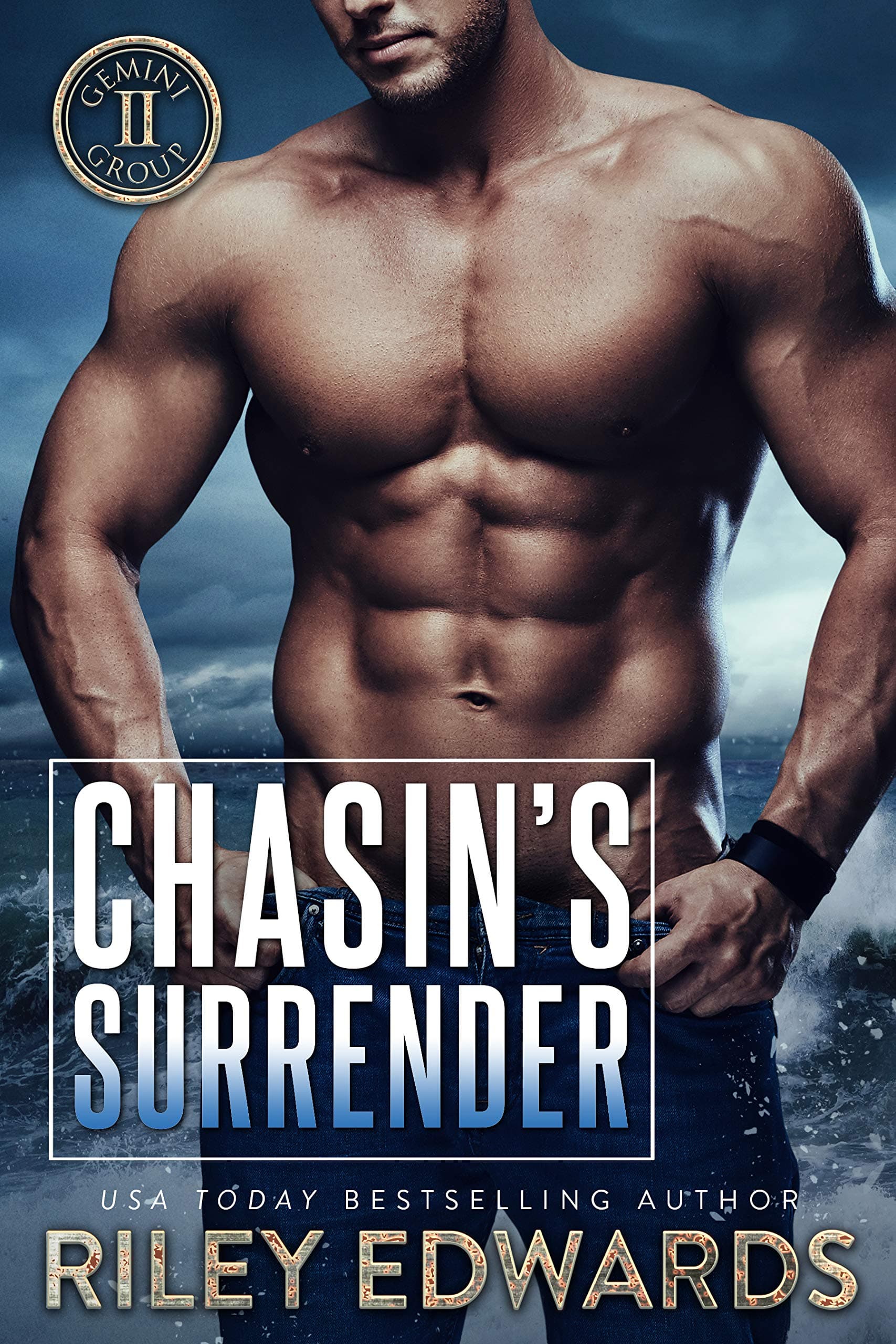 Chasin's Surrender book cover