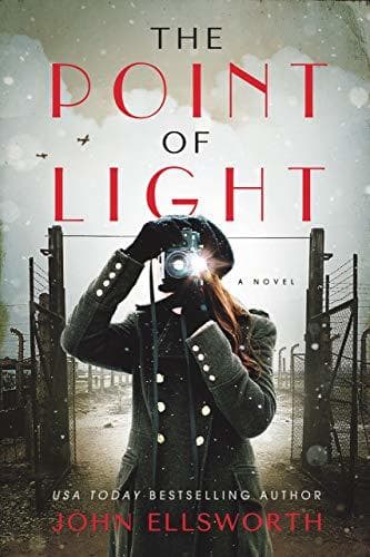 The Point of Light book cover