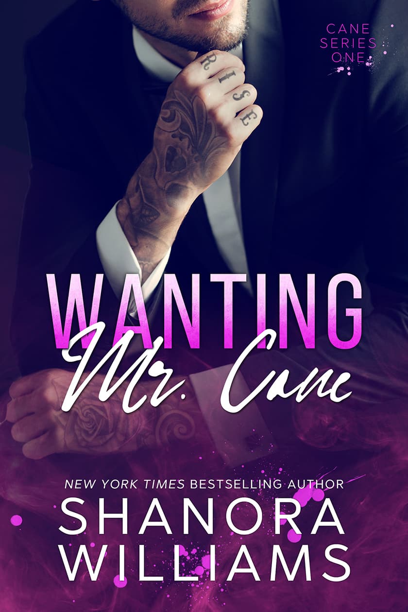 Wanting Mr. Cane book cover