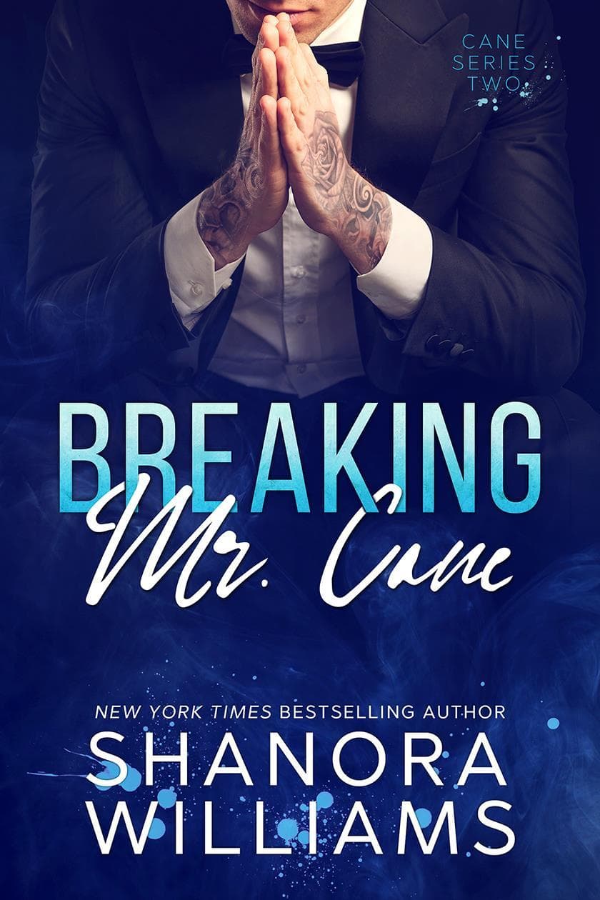 Breaking Mr. Cane book cover