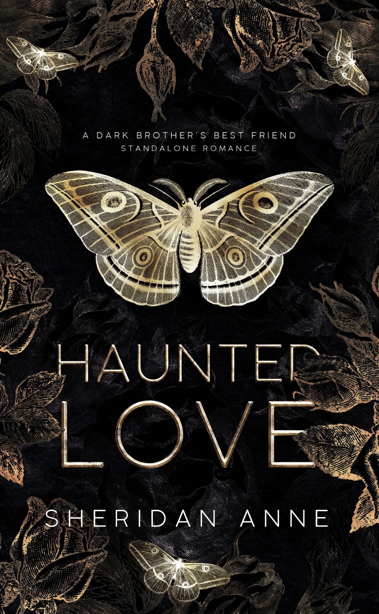 Haunted Love book cover