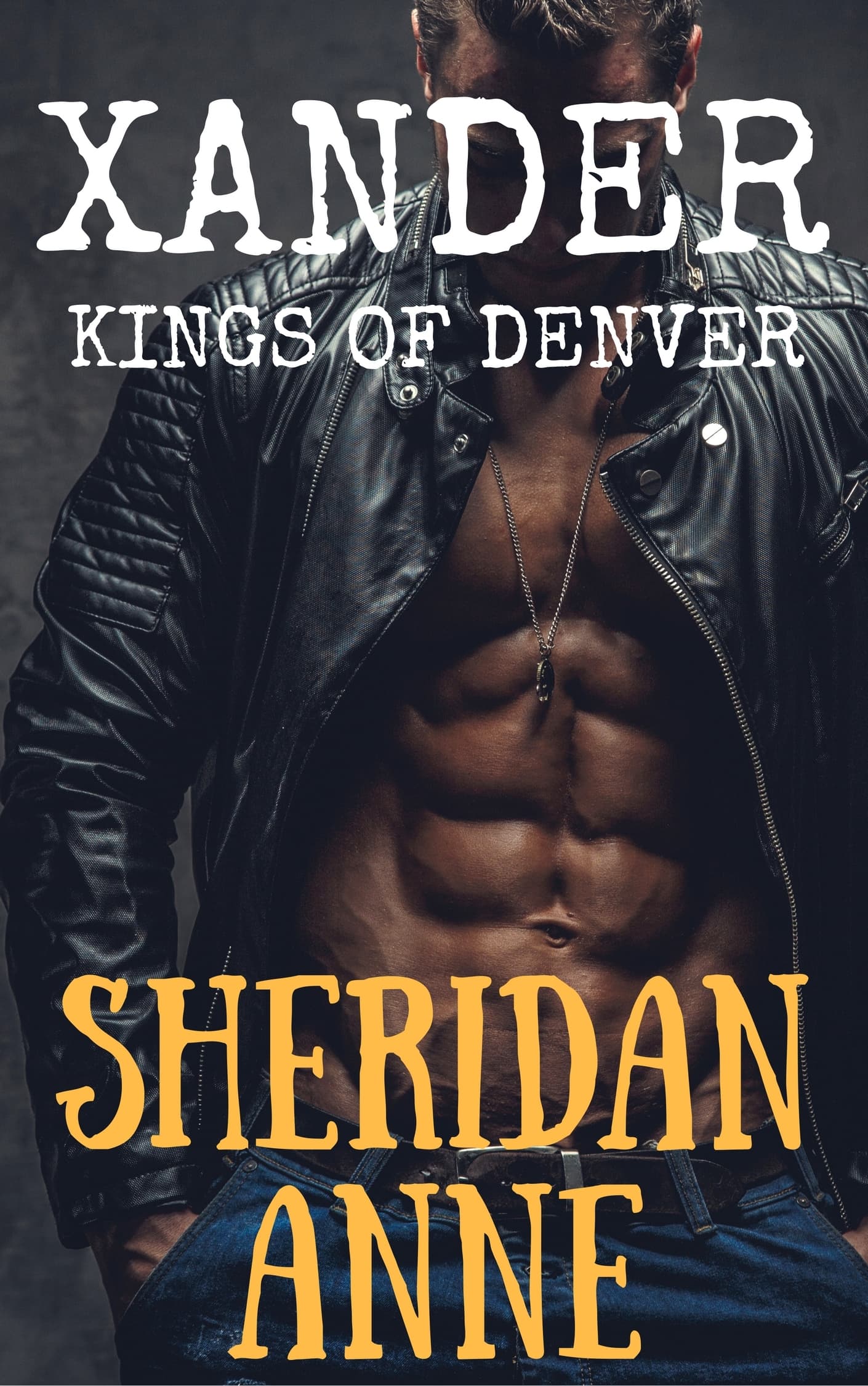 Xander book cover