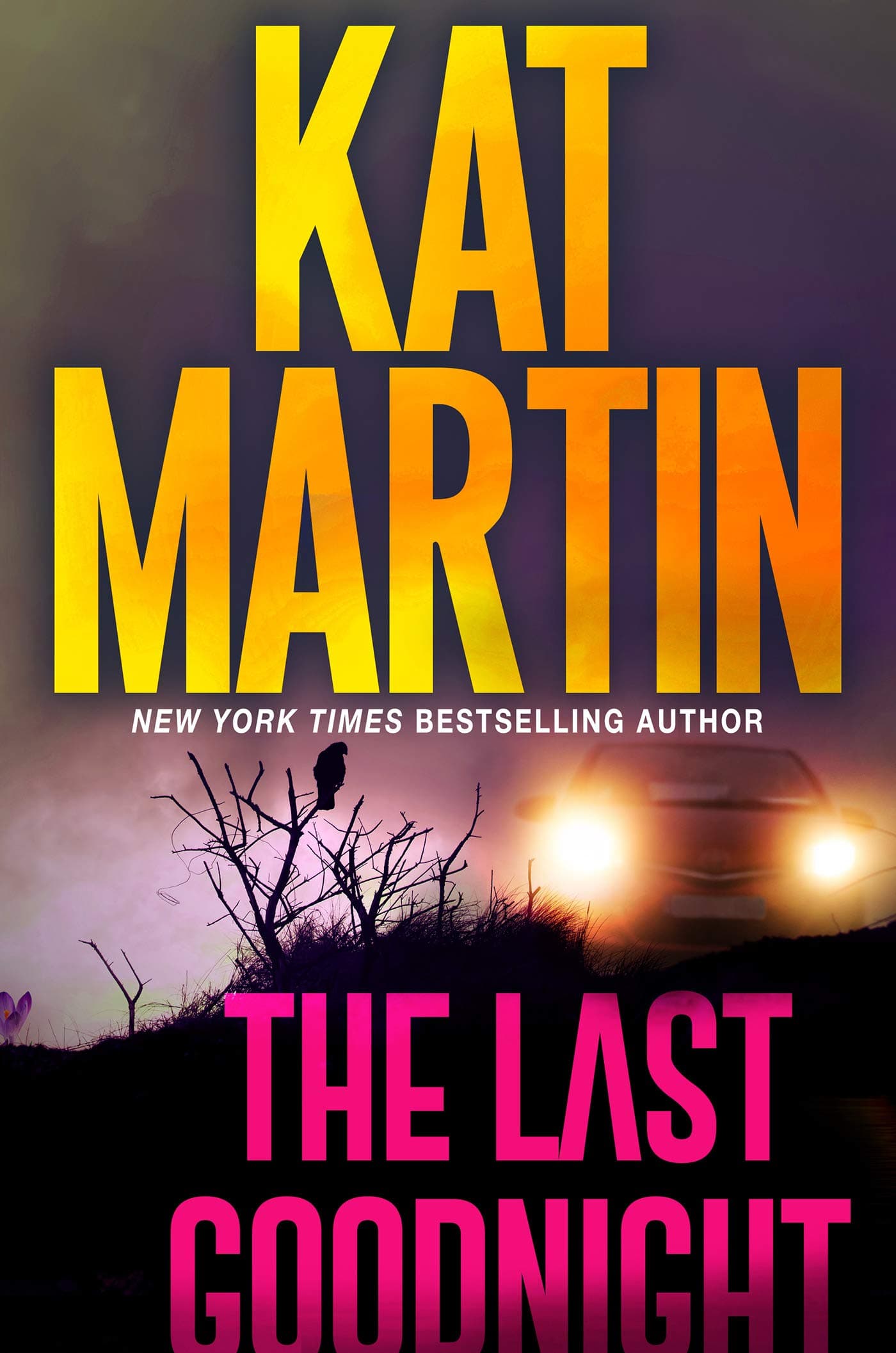 The Last Goodnight book cover