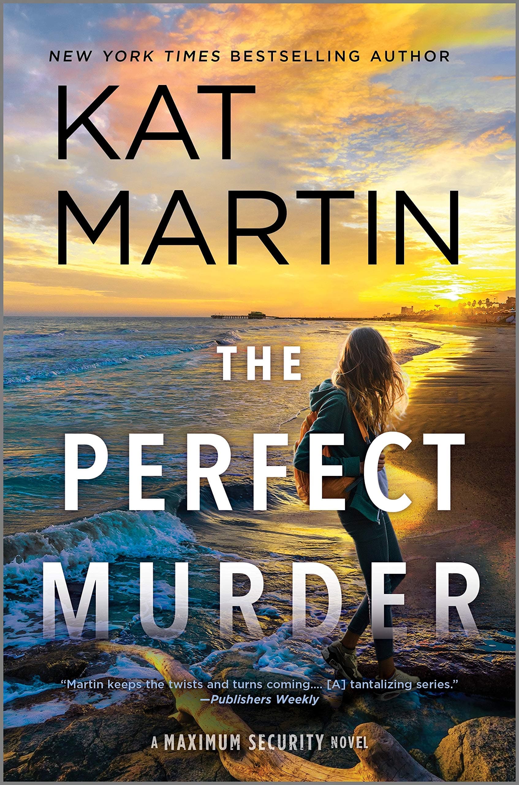 The Perfect Murder book cover