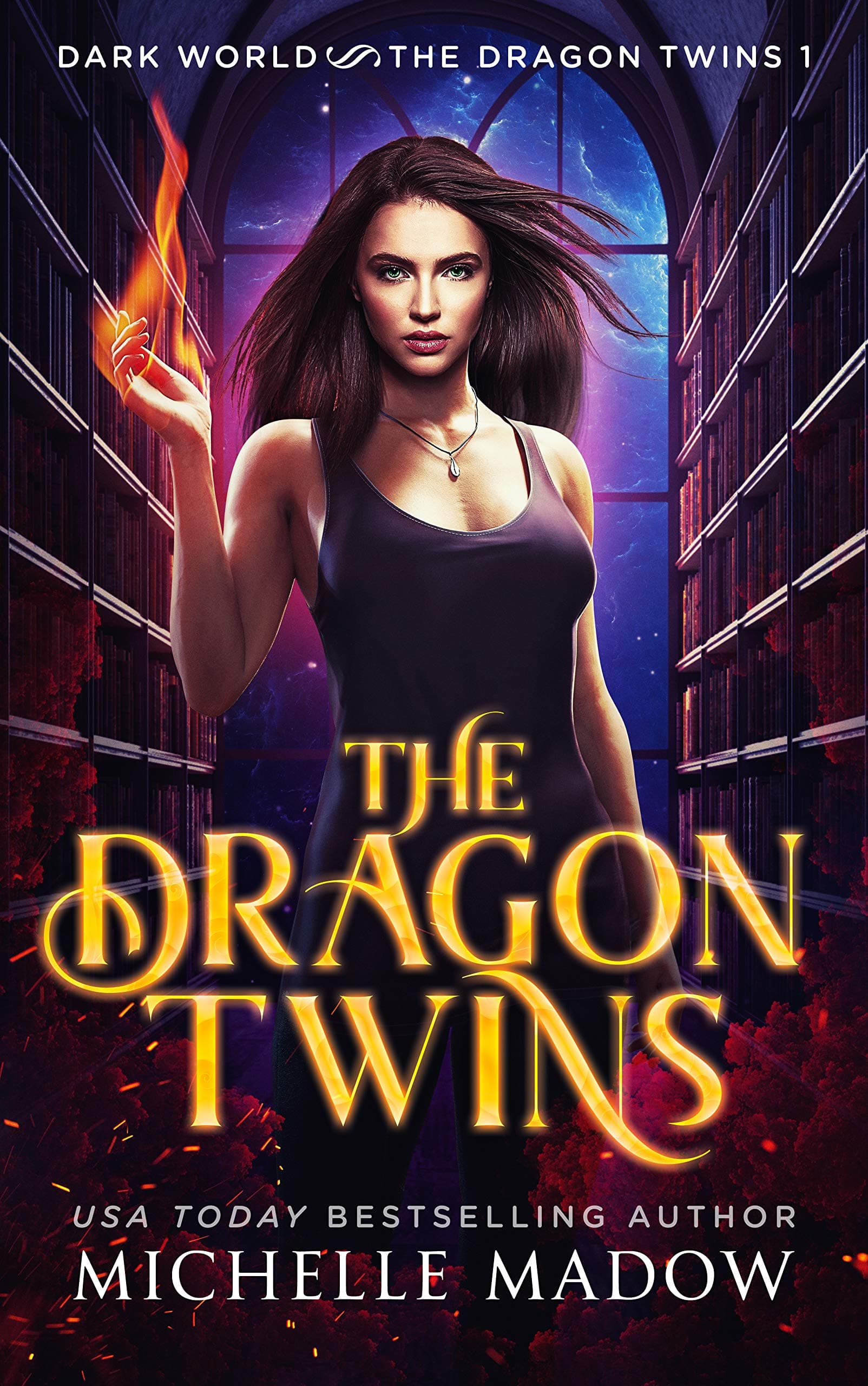 The Dragon Twins book cover