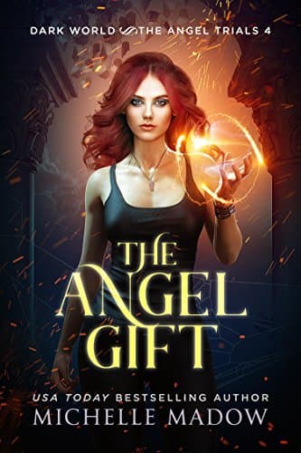 The Angel Gift book cover
