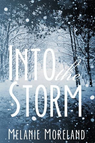 Into the Storm book cover