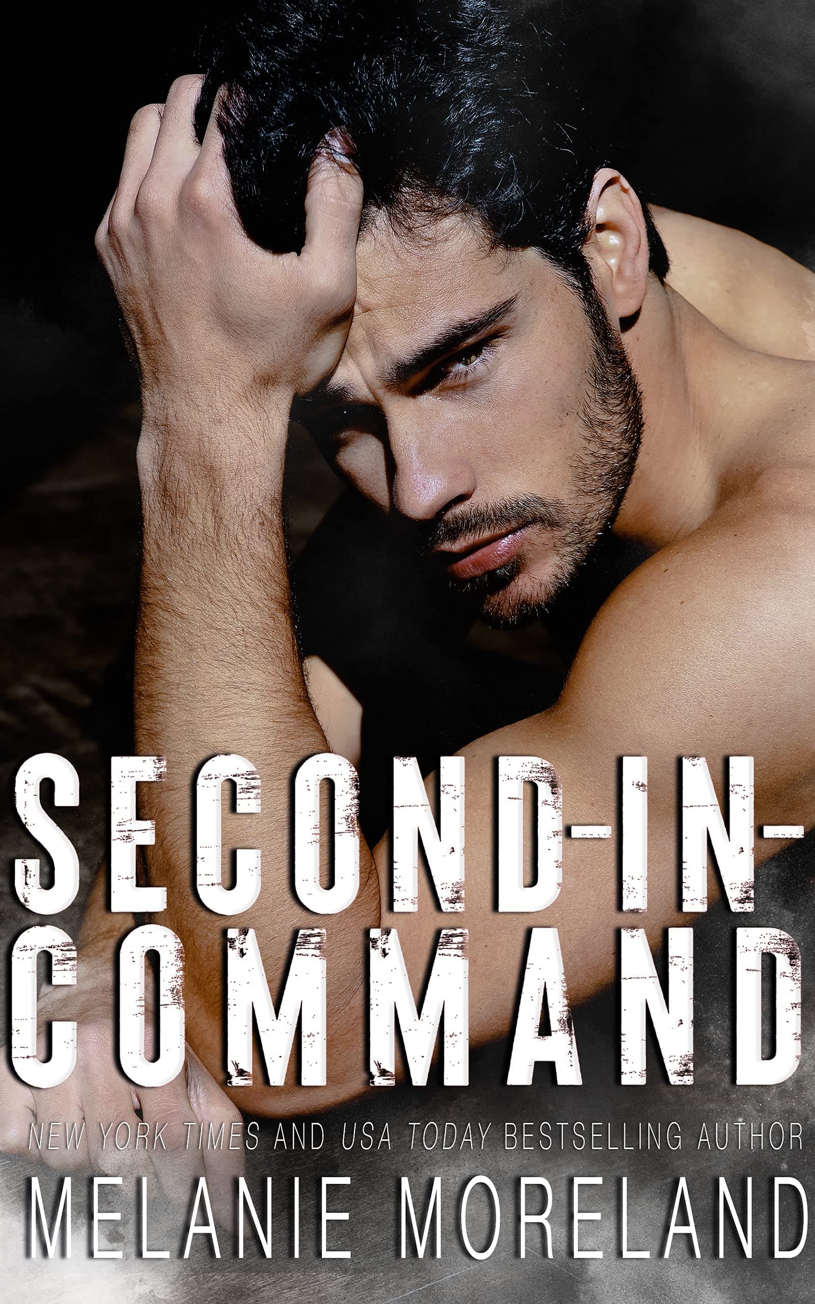 Second-in-Command book cover