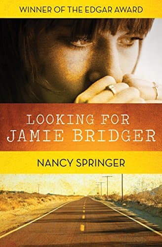 Looking for Jamie Bridger book cover