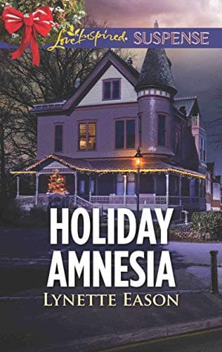 Holiday Amnesia book cover