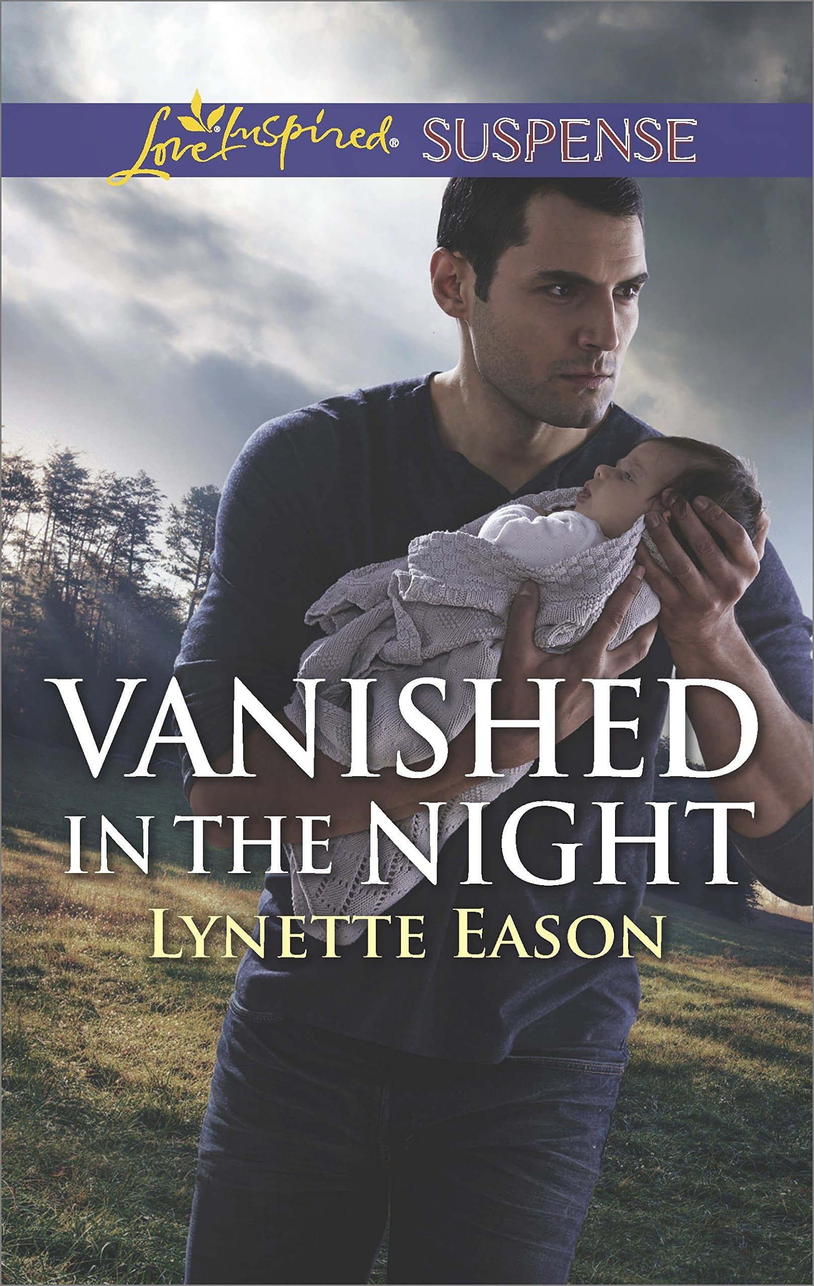 Vanished in the Night book cover