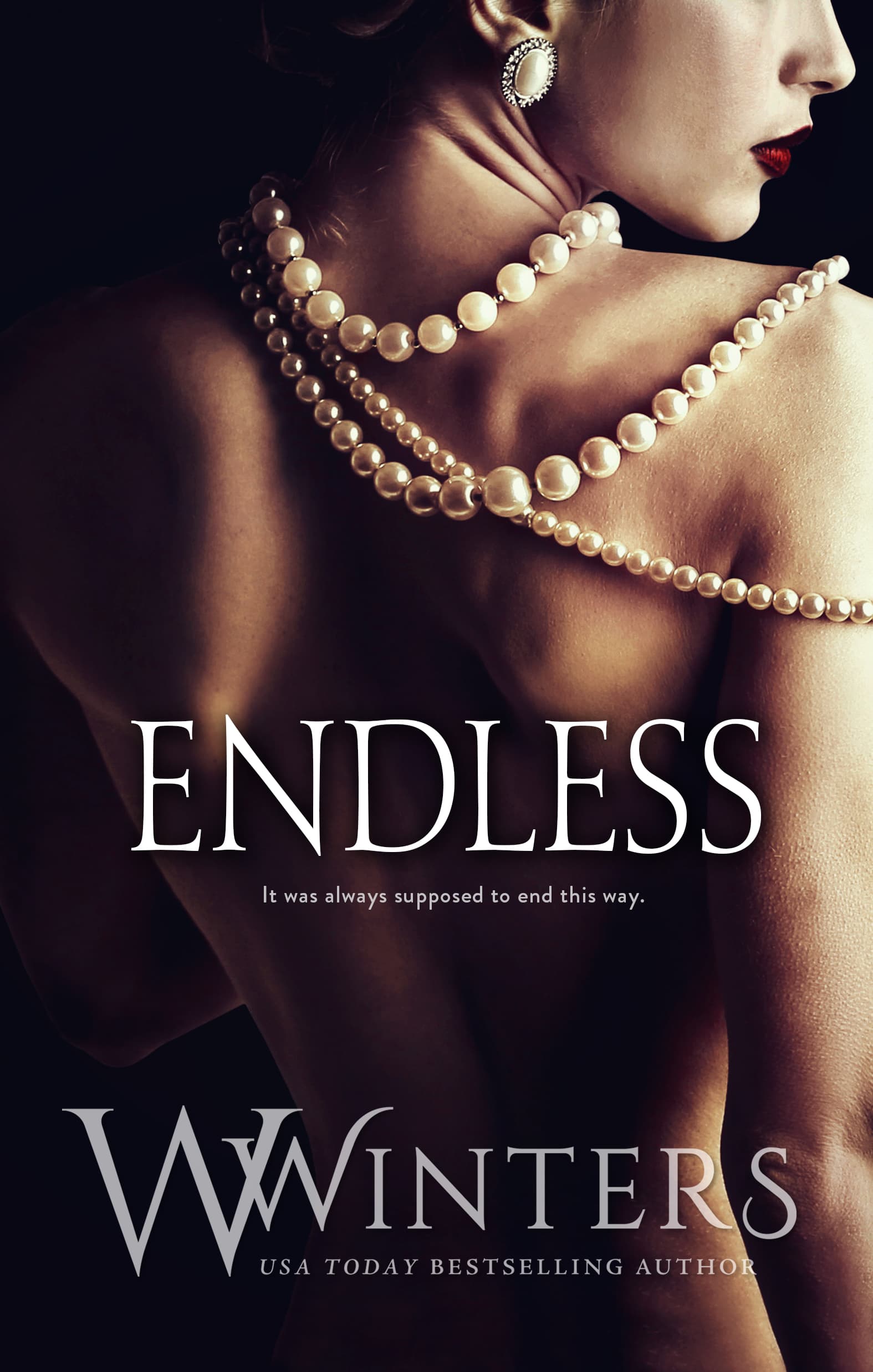 Endless book cover