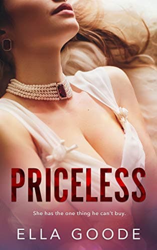 Priceless book cover