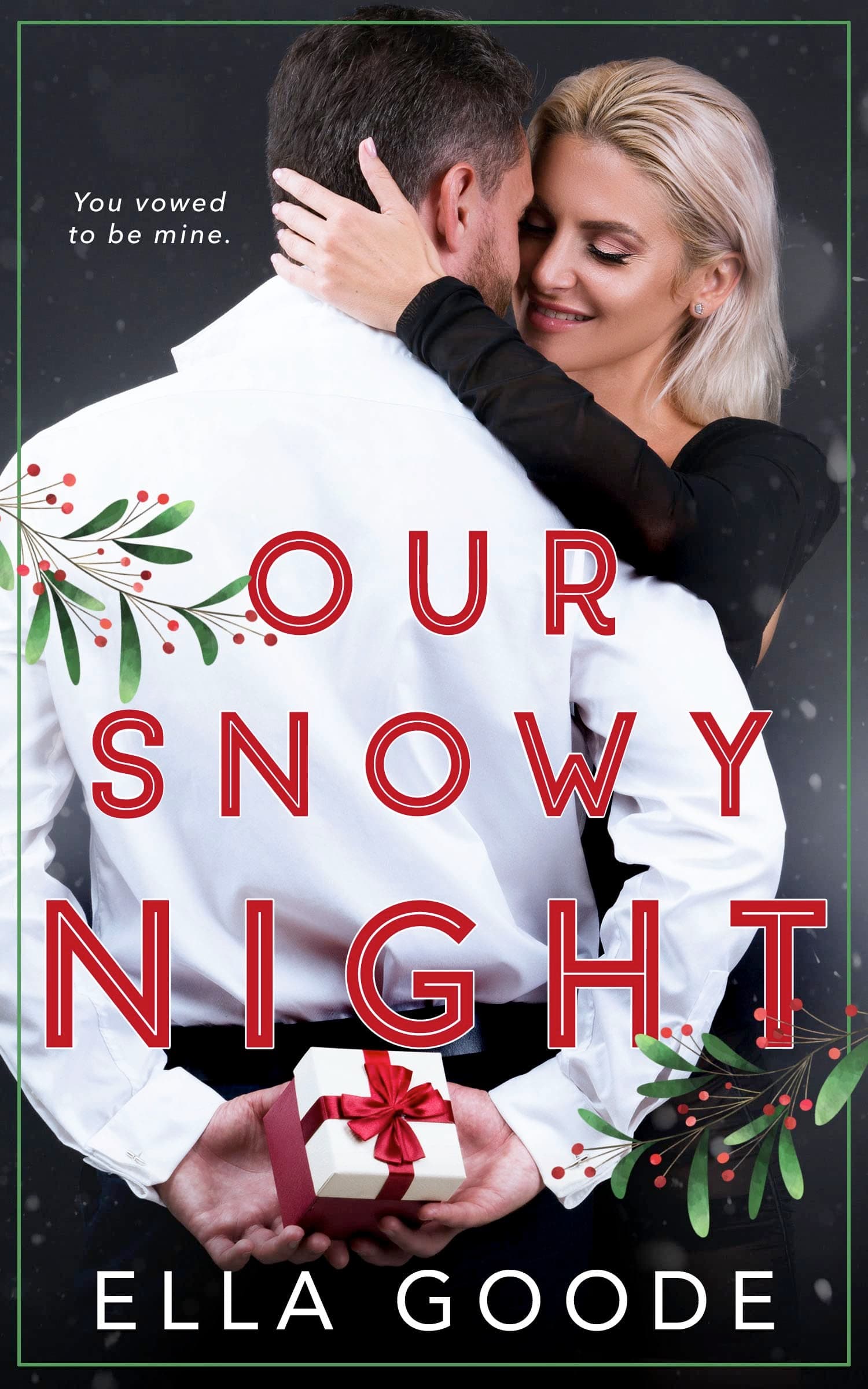 Our Snowy Night book cover