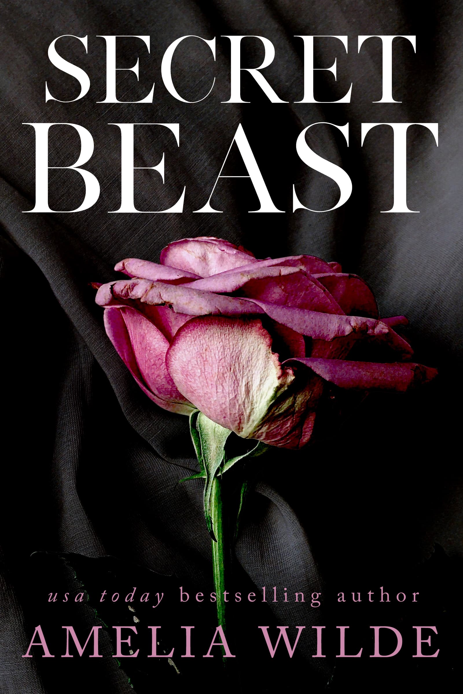 Secret Beast book cover