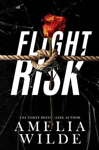 Flight Risk book cover
