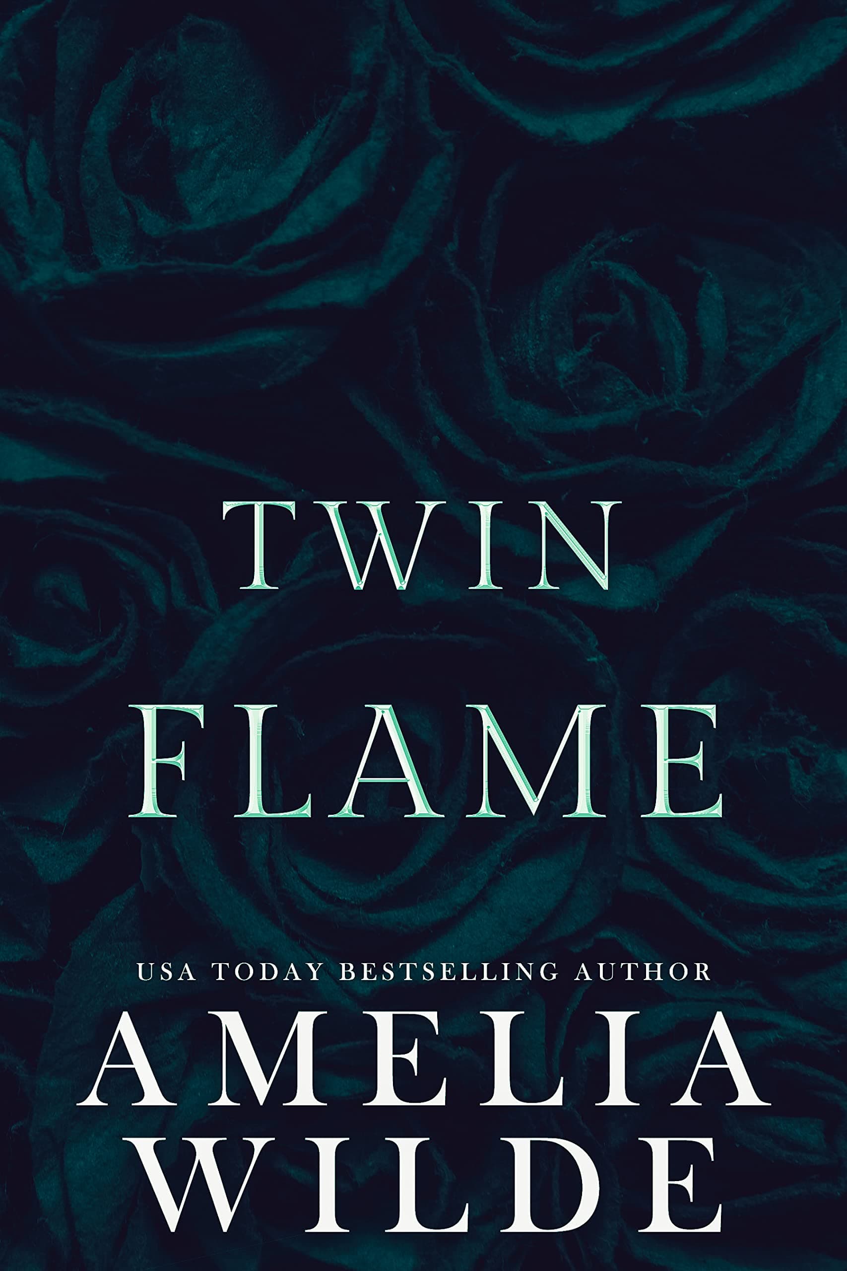 Twin Flame book cover