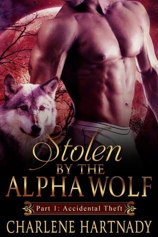 Accidental Theft book cover