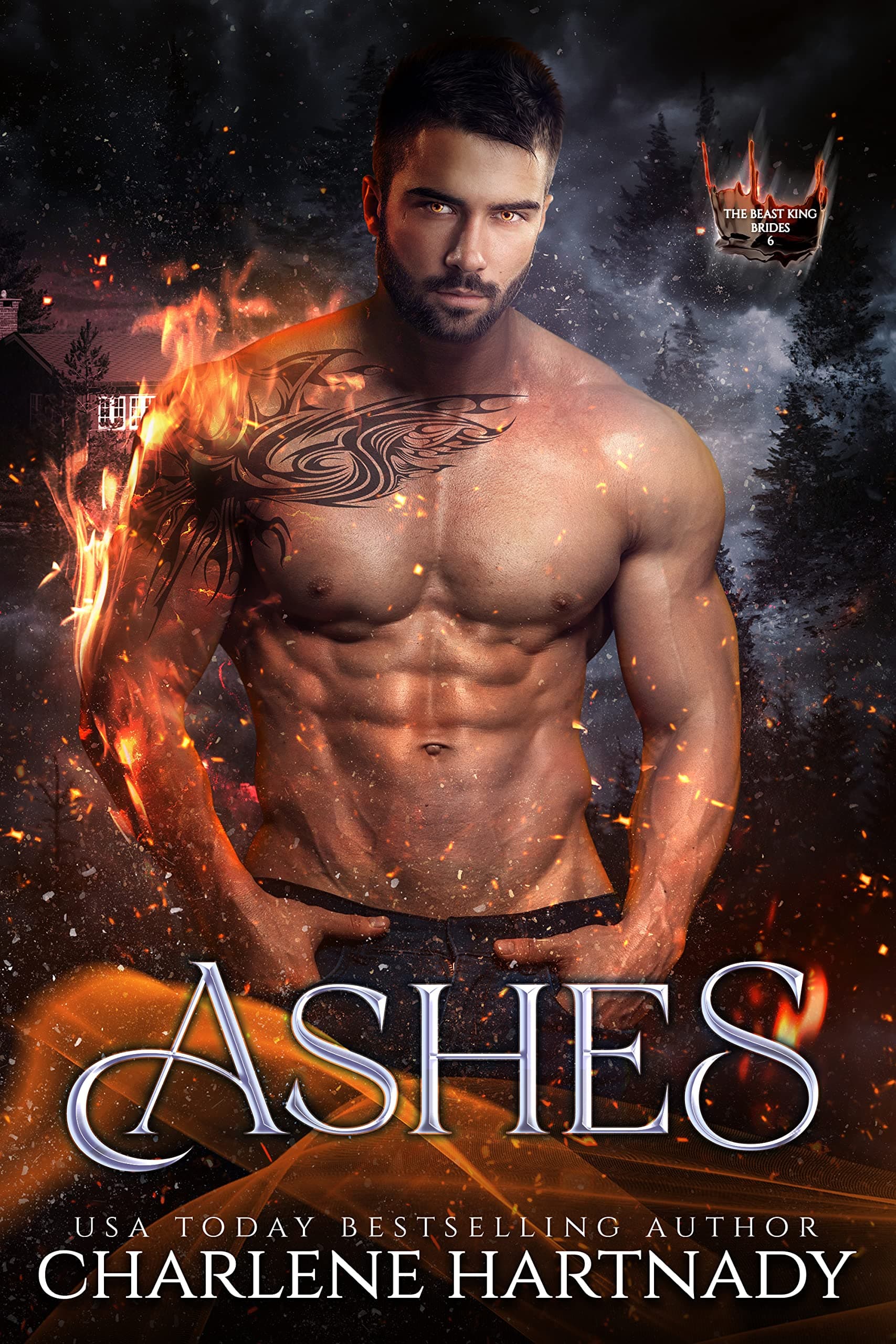 Ashes book cover