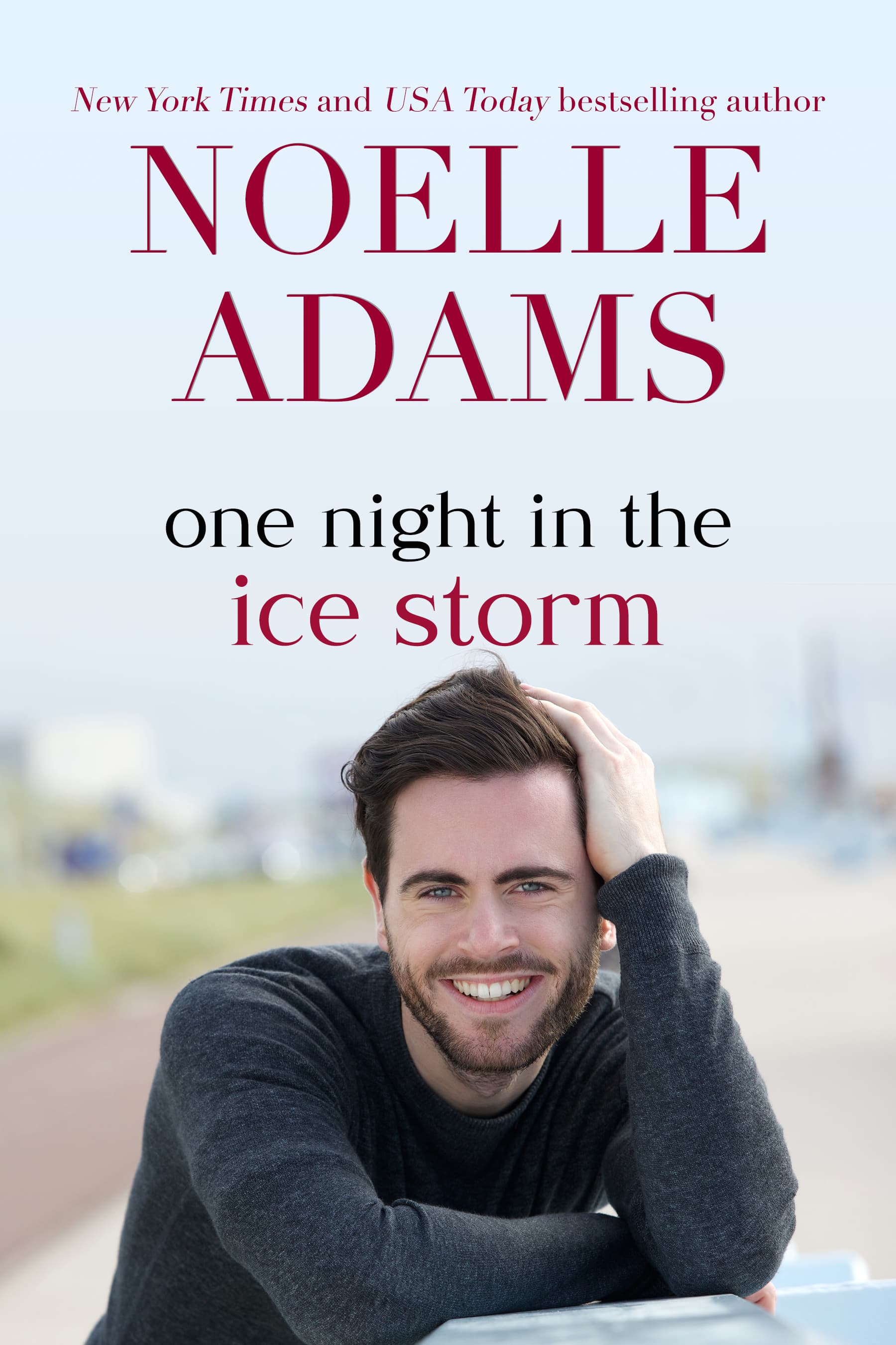 One Night in the Ice Storm book cover