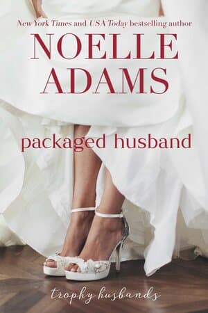 Packaged Husband book cover