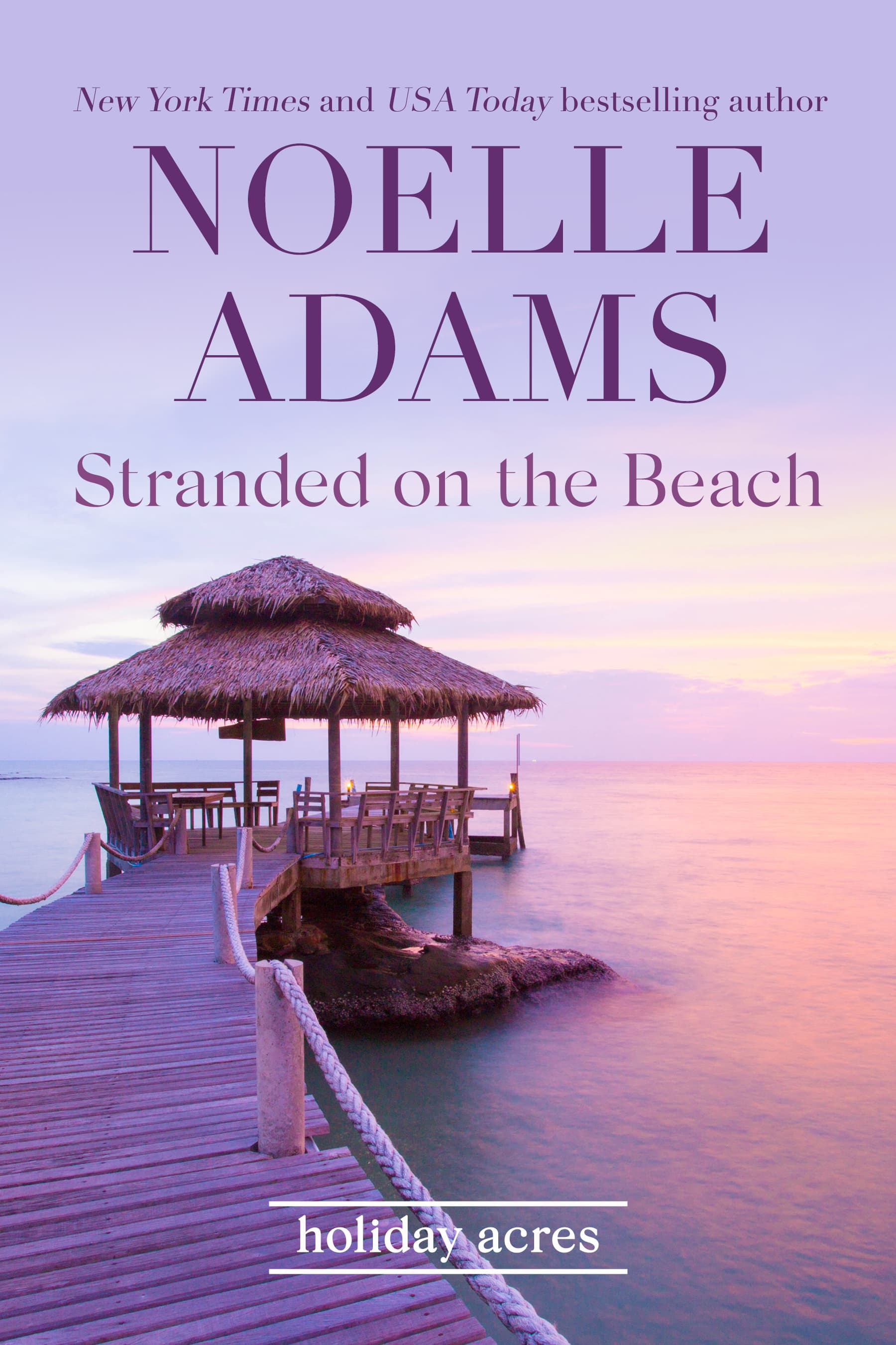 Stranded on the Beach book cover
