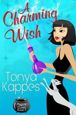A Charming Wish book cover