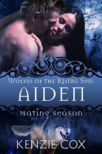Aiden book cover