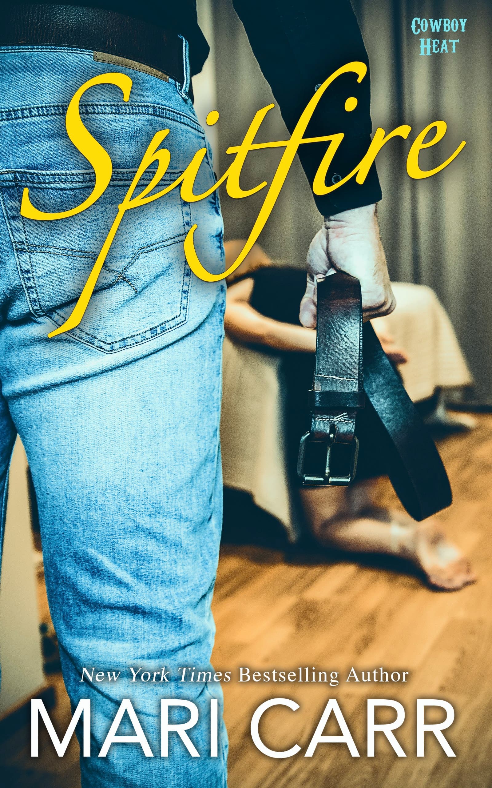 Spitfire book cover