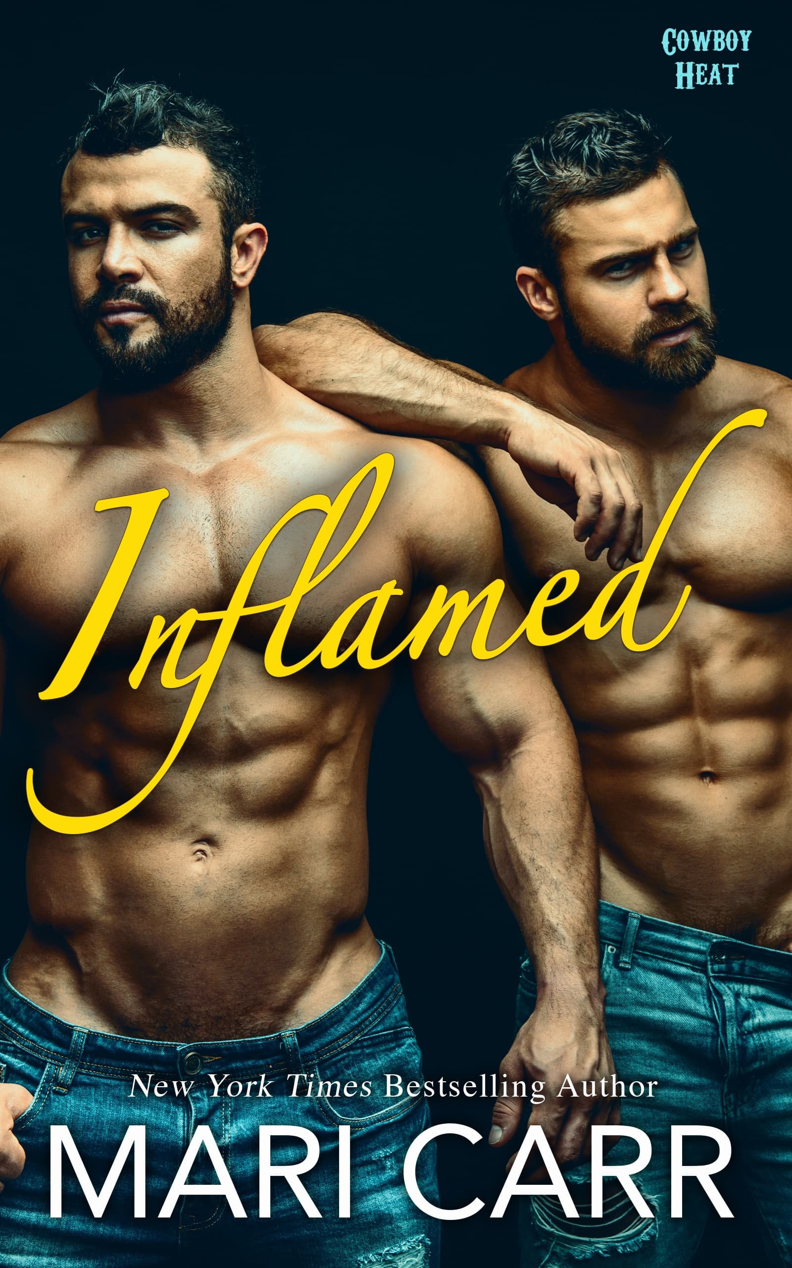 Inflamed book cover