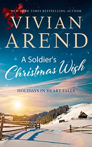 A Soldier's Christmas Wish book cover