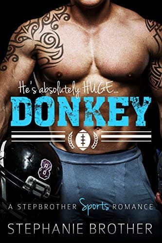 Donkey book cover