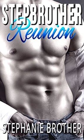 Stepbrother Reunion book cover