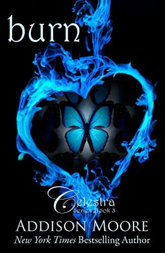 Burn book cover