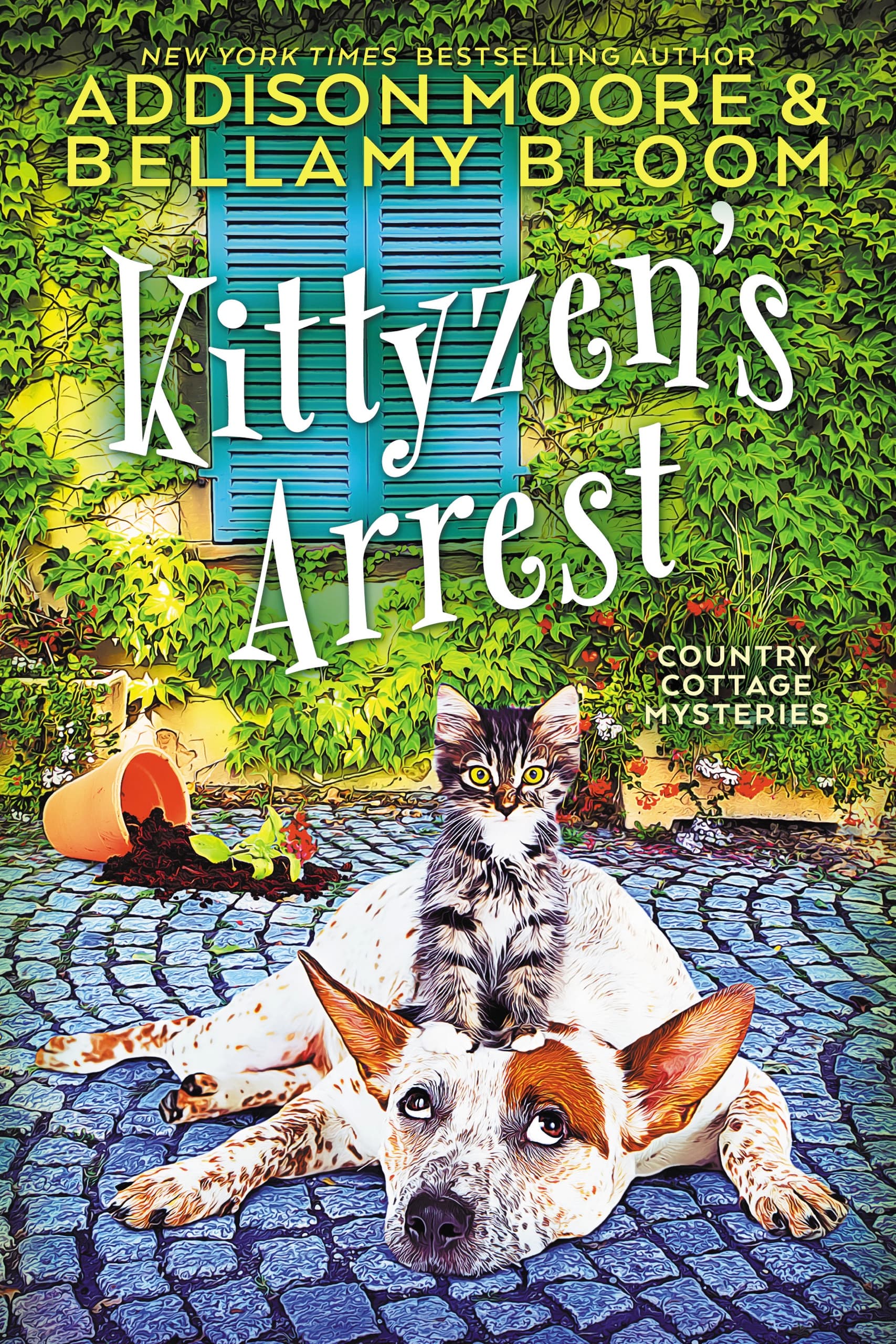 Kittyzen's Arrest book cover