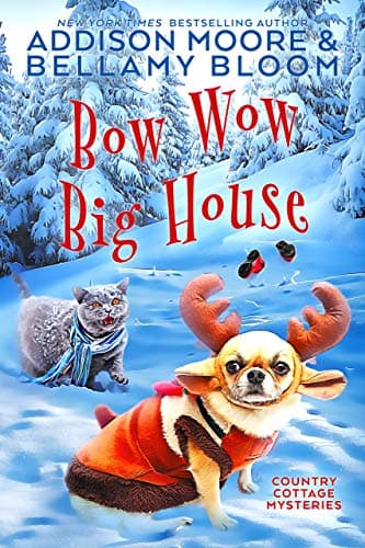 Bow Wow Big House book cover