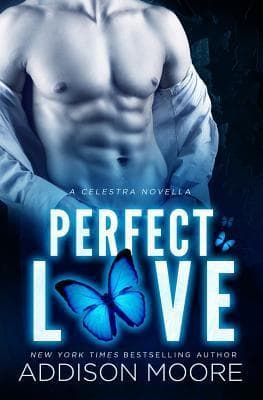 Perfect Love book cover