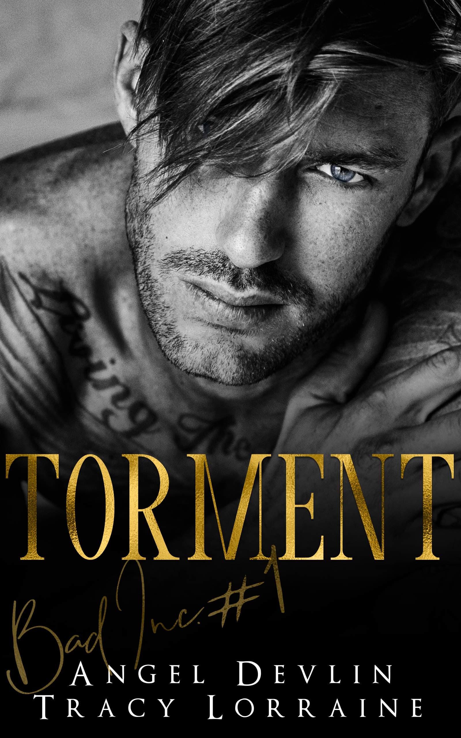 Torment book cover