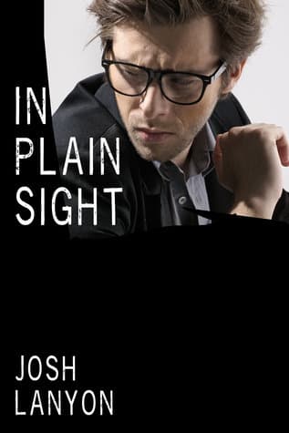 In Plain Sight book cover