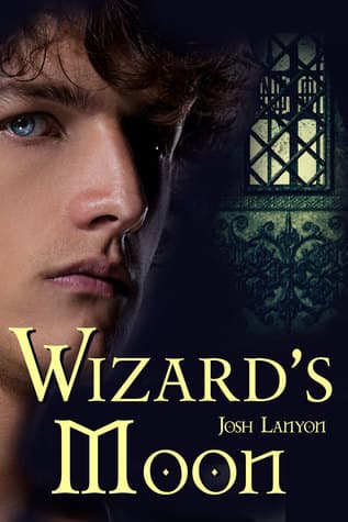 Wizard's Moon book cover